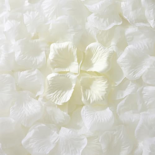 1500Pcs Real Dried Ivory White Hydrangea Petals