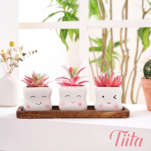 Tiita Cute Artificial Succulents in Ceramic Pots