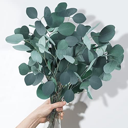 Saipro Dried Eucalyptus Stems for Wreath and Home Decor
