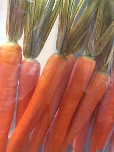 VISOFO Artificial Carrots Decorative Green Leaf Top Bag of 12