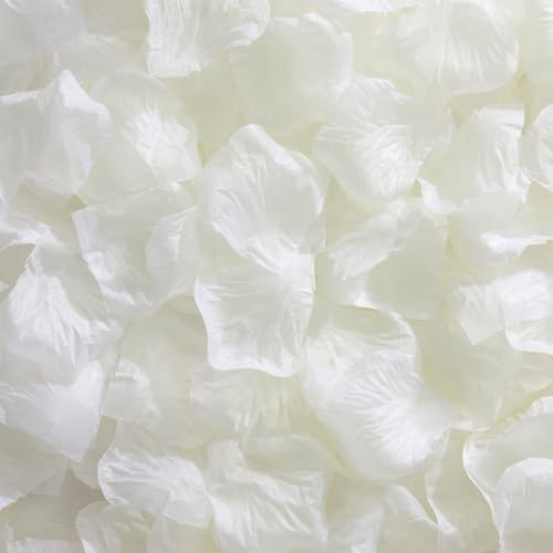 1500Pcs Real Dried Ivory White Hydrangea Petals