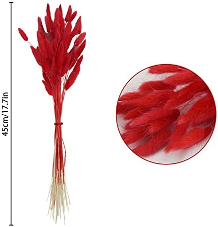 Uieke 17 Inch Natural Bunny Tails Dried Flowers 50 Pcs