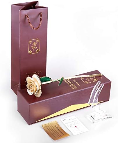 Sinvitron 24K Gold Dipped Infinity Rose Decor