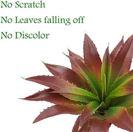 Agusbagli Artificial Succulent Plants with Real Touch