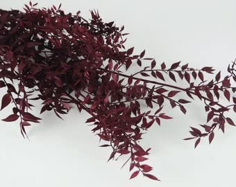 Italian Ruscus Dried Flowers 5 Stems Wedding Decor
