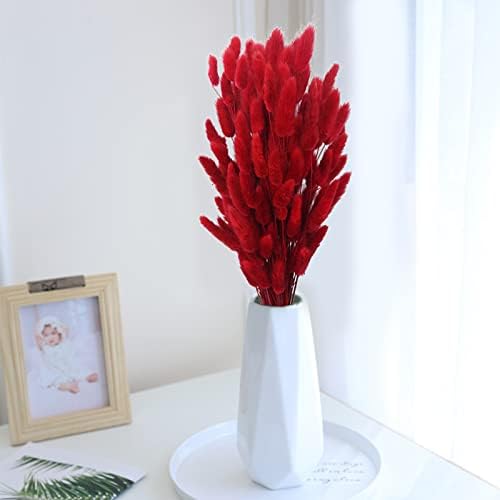 CISDUEO 120pcs Dried Red Bunny Tail Flowers