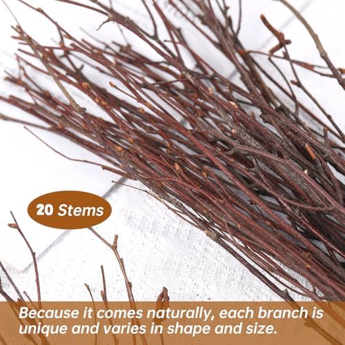 20Pcs Real Dried Birch Twigs - 17 Inch Natural Decorative Branches for Vase and DIY Crafts