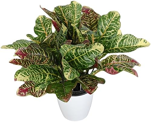 Artificial Croton Plant Leaf Branches 2 Pack