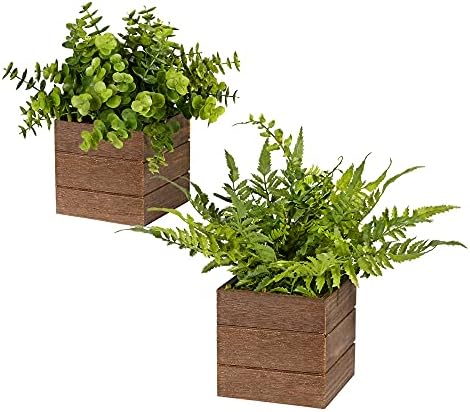 Vlorart 2Pack Mini Artificial Boxwood Fern Plants