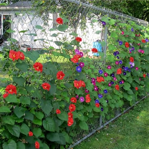 CISDUEO 2 Pcs Artificial Vines for Outdoor Decor