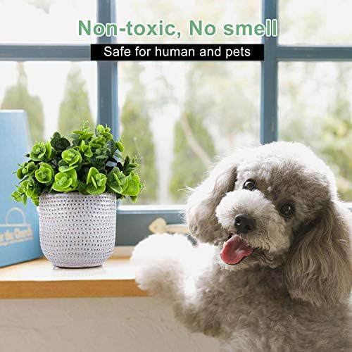 Cute Artificial Lysimachia Plants in Ceramic Planter