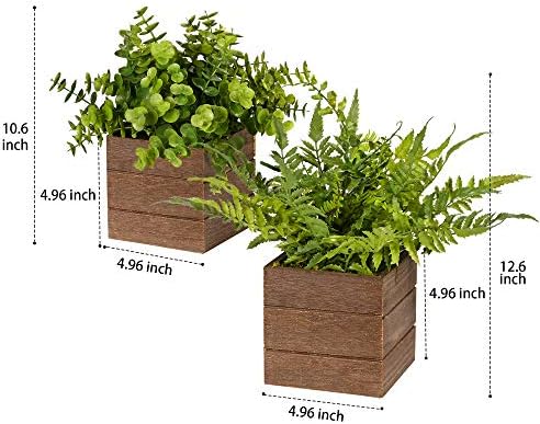 Vlorart 2Pack Mini Artificial Boxwood Fern Plants