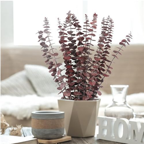 16 Pcs Preserved Eucalyptus Stems for Home Spa Decor