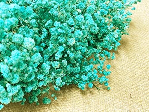 CalCastle Craft Dried Flower Babys Breath Bouquet 27 Inch Turquoise
