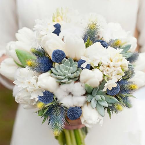 CISDUEO 20 Pcs Dried Billy Balls Blue Flowers Bouquet Decor