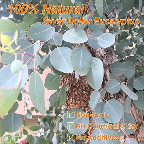 Saipro Dried Eucalyptus Stems for Wreath and Home Decor