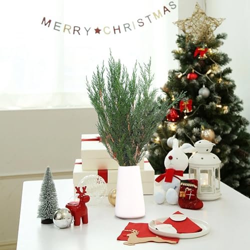 Preserved Real Pine Leaves Branches 17 for Christmas Decor