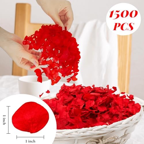 1500Pcs Real Dried Red Hydrangea Petals Natural