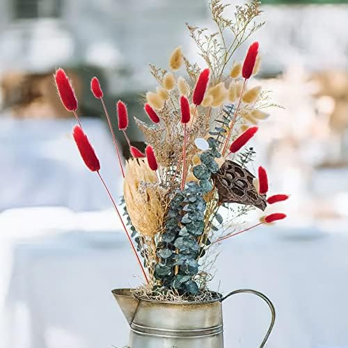 CISDUEO 120pcs Dried Red Bunny Tail Flowers