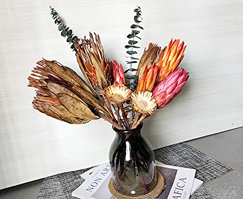 4PCS Dried Protea Flowers Natural Decor Vase Arrangement