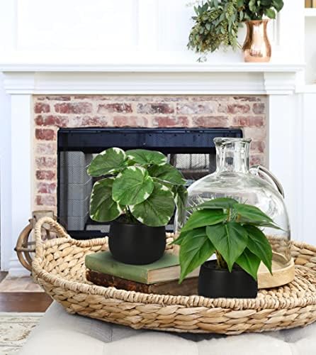 Briful 3PCS Artificial Plants in Black Ceramic Pots