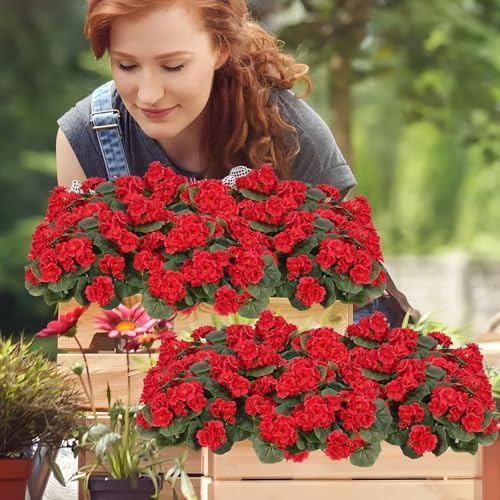 Waipfaru 8Pcs Artificial Geraniums for Outdoor Decor