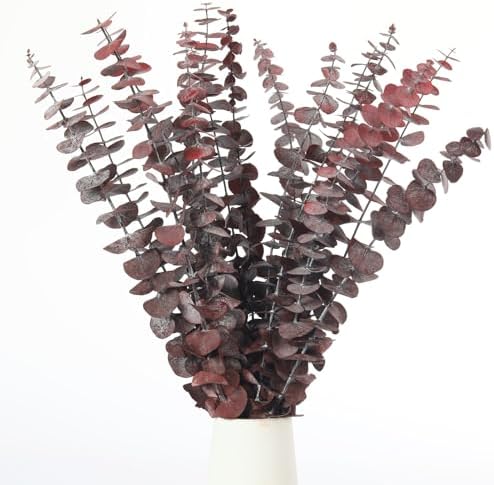 16 Pcs Preserved Eucalyptus Stems for Home Spa Decor