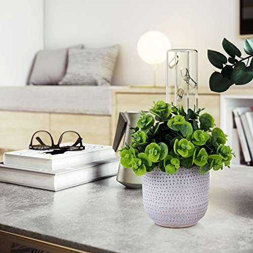 Cute Artificial Lysimachia Plants in Ceramic Planter