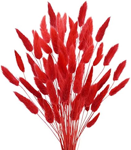 Uieke 17 Inch Natural Bunny Tails Dried Flowers 50 Pcs