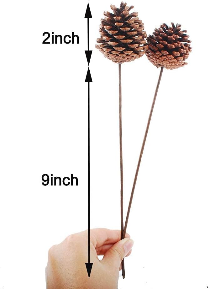 NWFashion 10PCS 2INCH Natural Dried Pinecones for Crafting