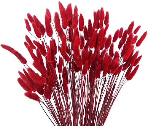 CISDUEO 120pcs Dried Red Bunny Tail Flowers