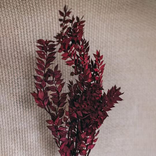 Italian Ruscus Dried Flowers 5 Stems Wedding Decor