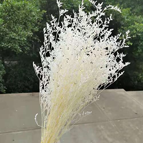 Bleached Preserved Limonium Artificial Flowers