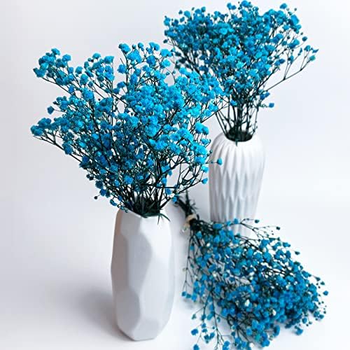 Preserved Babys Breath Flower Bunches Light Blue 3-Pack 12 Inches Tall