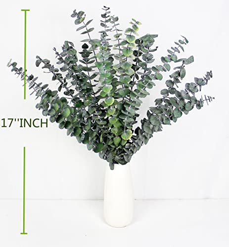 30PCS Dried Preserved Eucalyptus Plants for Decor