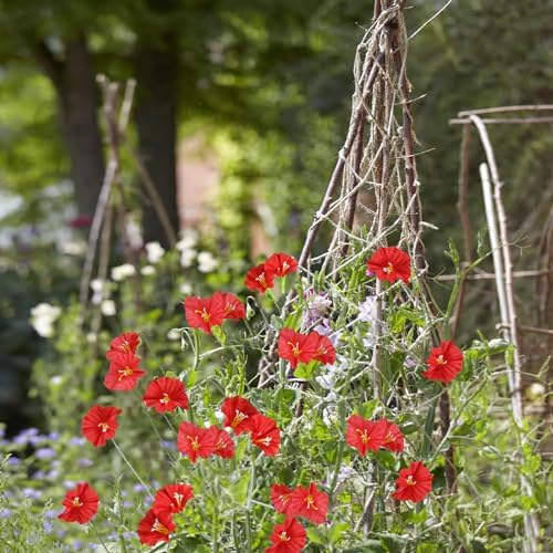 CISDUEO 2 Pcs Artificial Vines for Outdoor Decor