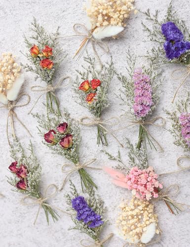 14pcs Dried Forget-me-not Bouquet With Stems