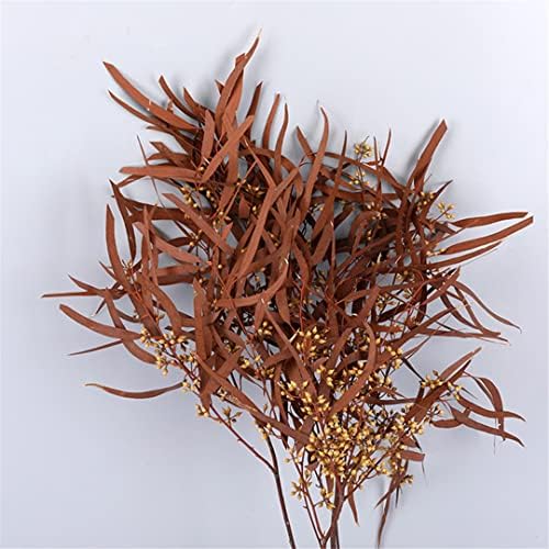 Natural Preserved Eucalyptus Leaves for Wedding and Home Decor