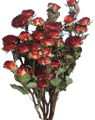 Natural Dried Flower Bouquet Mini Roses Wedding Decor