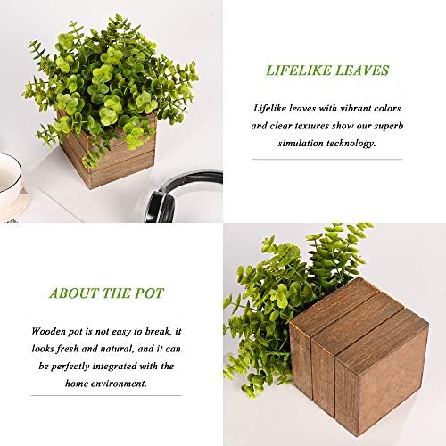 Vlorart 2Pack Mini Artificial Boxwood Fern Plants