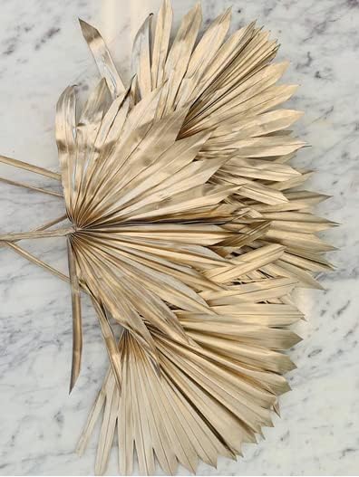 ROYAL SAPPHIRE Golden Dried Palm Leaves 5 Pieces Wedding Decor