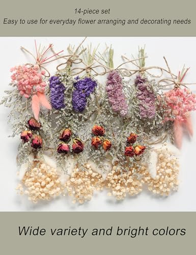 14pcs Dried Forget-me-not Bouquet With Stems