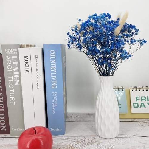 LBREVOGA Dried Flower Bouquet Blue Gypsophila