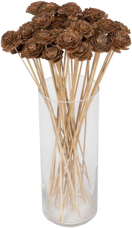 Vickerman Cedar Rose Natural Stem Artificial Flowers 50 Pack