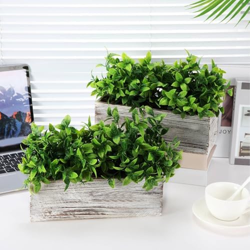 Lyrow 2 Pack Artificial Eucalyptus Plants in Wooden Pots