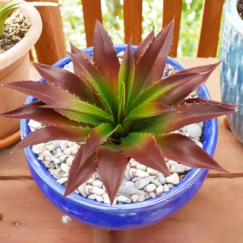 Agusbagli Artificial Succulent Plants with Real Touch