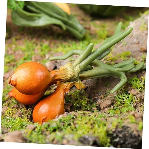 Cabilock Realistic Artificial Vegetable Display Props