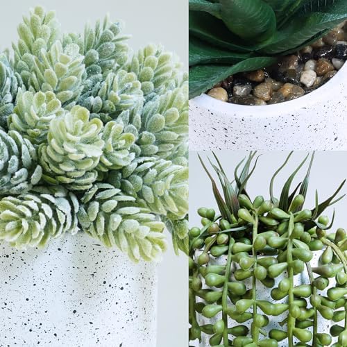 Winlyn Set of 3 Artificial Succulent Plants in White Cement Pots