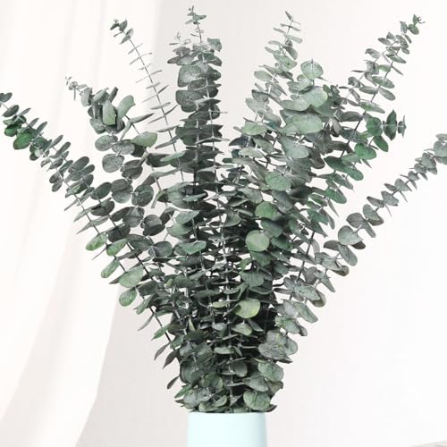 20 Pcs Dried Eucalyptus Stems for Spa Bathroom Decor
