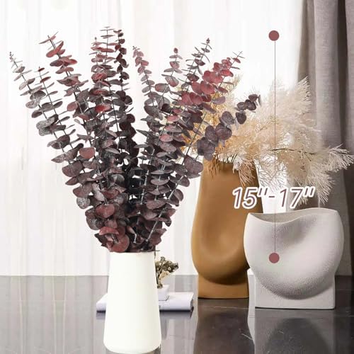 16 Pcs Preserved Eucalyptus Stems for Home Spa Decor